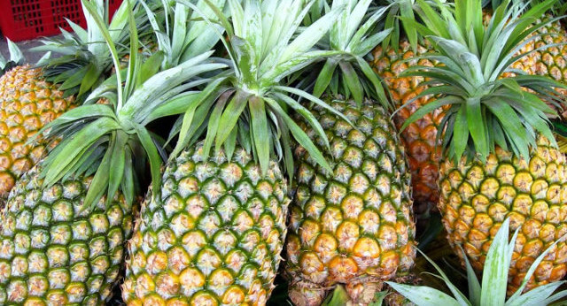 tagalog legend pineapple